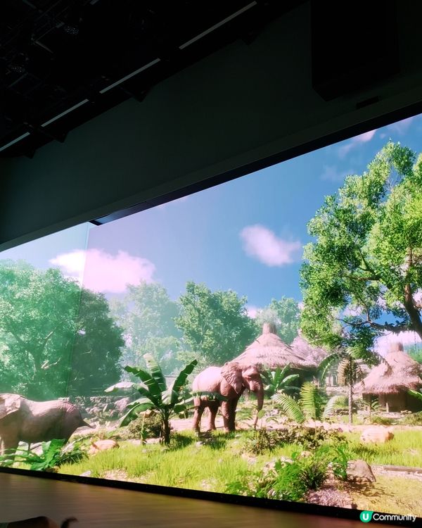 被《璨星—古蜀文明沉浸式數字藝術展覽》震撼倒了