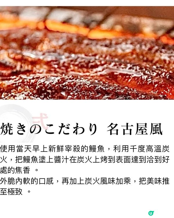 性價比極高人氣午市鰻魚飯😋