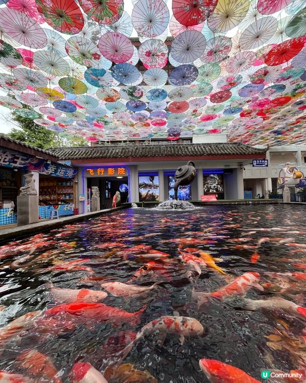 #打卡美食#好去處#chill#隱世打卡點#打卡#chill...