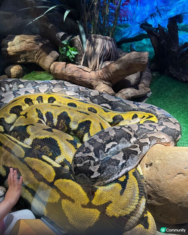 廣州長隆動物園