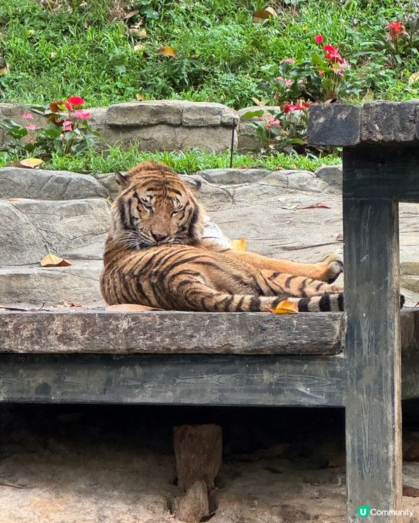 廣州長隆動物園
