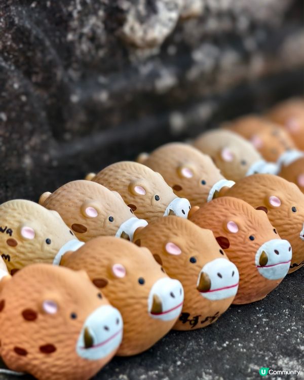 推介數座京都小寺廟