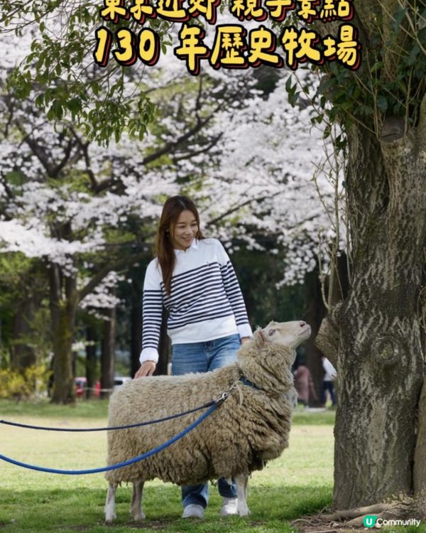 日本東京近郊🐑🇯🇵親子遊攻略