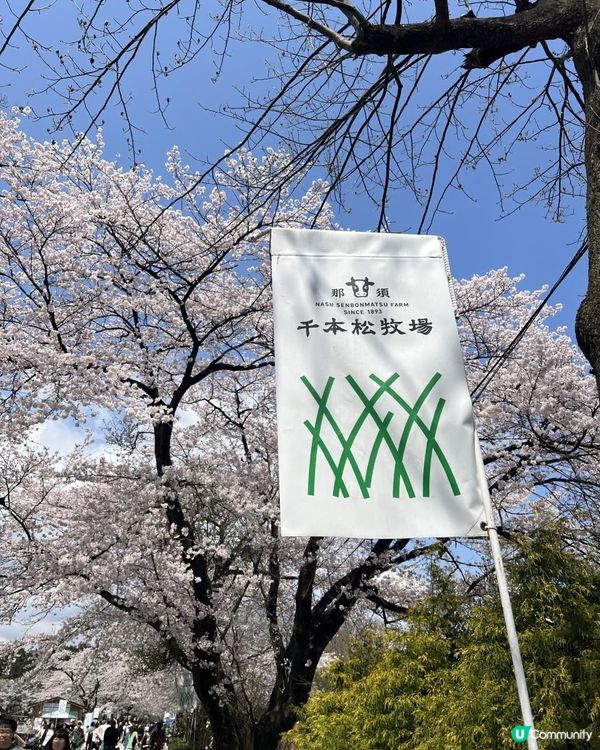 日本東京近郊🐑🇯🇵親子遊攻略