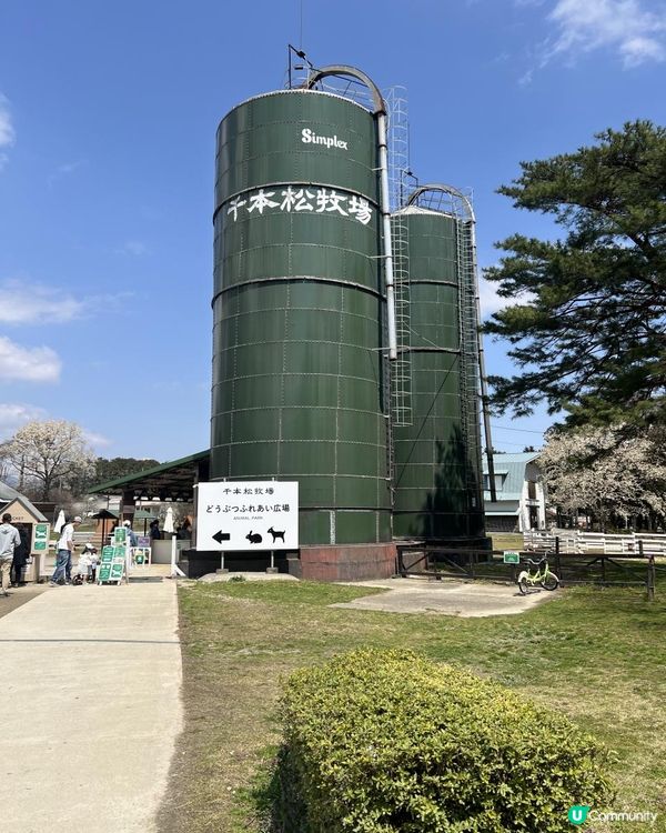 日本東京近郊🐑🇯🇵親子遊攻略