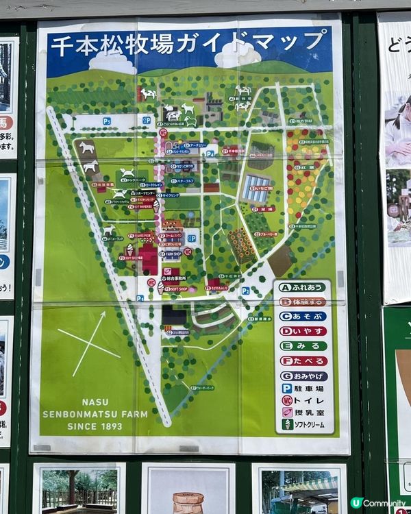 日本東京近郊🐑🇯🇵親子遊攻略