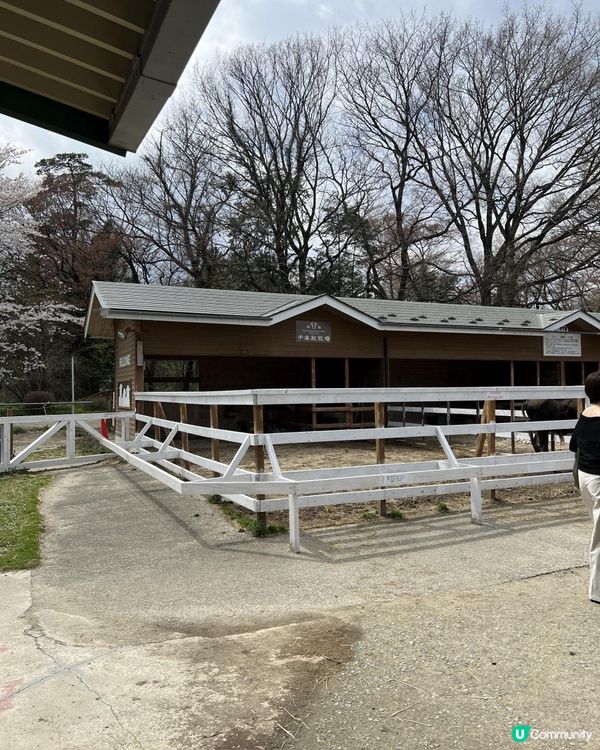日本東京近郊🐑🇯🇵親子遊攻略