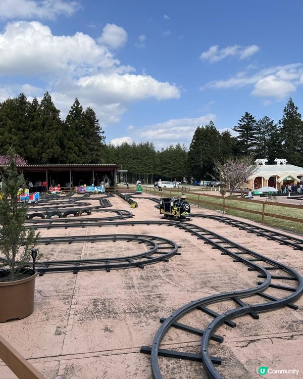 日本東京近郊🐑🇯🇵親子遊攻略