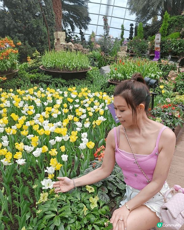 同囡囡快閃新加坡3日兩夜嘅快樂時光