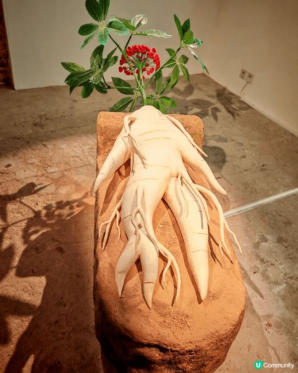 位於砲台山油街的自由藝術空間, 集藝術與休閒於一體的地方, ...