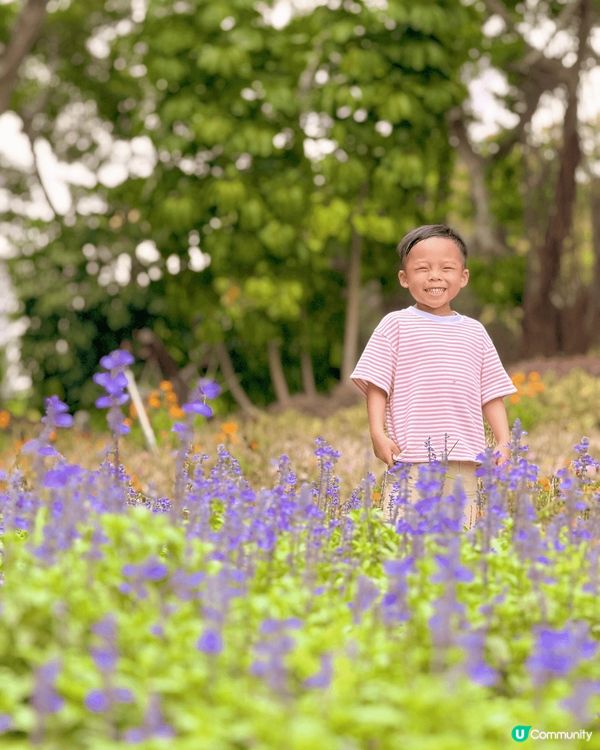 跟大家分享人少的打卡好地方～