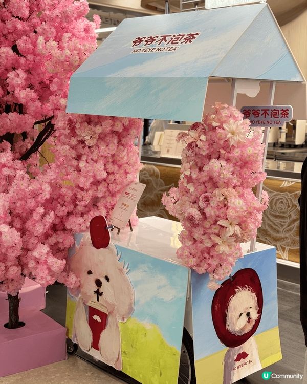 去深圳買既爺爺不泡茶，揀左最新既蘋果冰釀，飲到啲果肉仲有花釀...