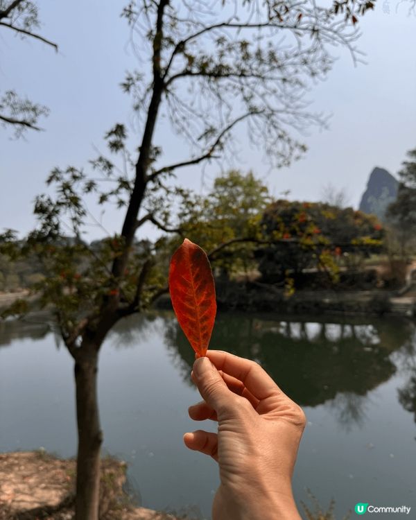 這次旅行是賞花、欣賞風景、看看精彩表演！現在到處都是打卡熱點...