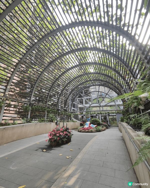 久違了的香港動植物公園，原來花都開得十分燦爛，這真是在鬧市之...