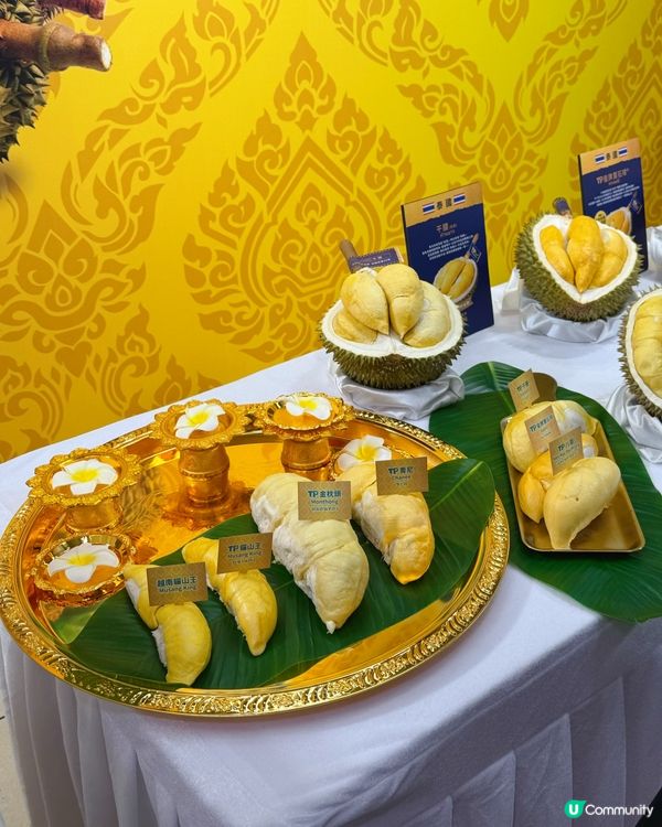 榴槤控注意‼️惠康榴槤之旅🤩