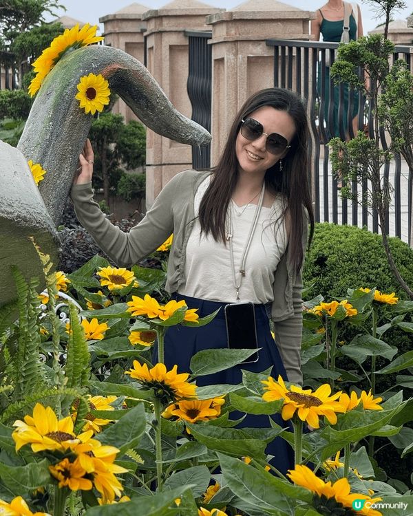 朝早8點半峴港出發，大約9:30點到山腳，纜車直衝佛手金橋！...