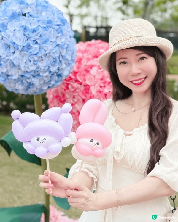 被美美的繡球花呼喚著💗