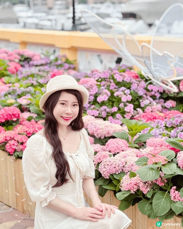 被美美的繡球花呼喚著💗