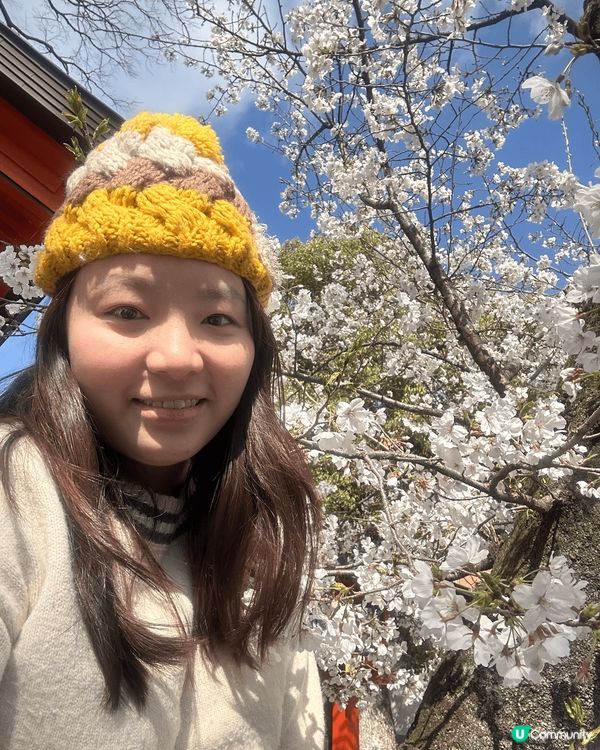 今年4月上旬去左一轉日本，特登去睇櫻花同跑神社，去左好幾個唔...