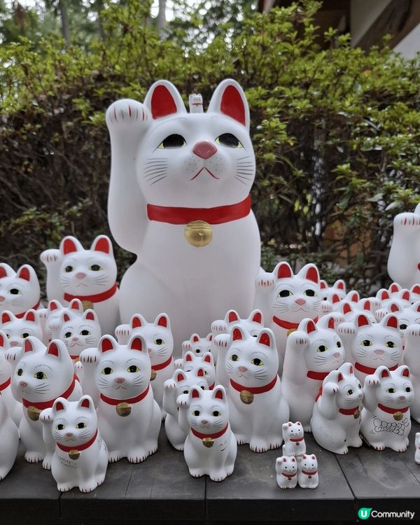 東京鐵塔，豪德寺，吉裡寺貓咪樂園