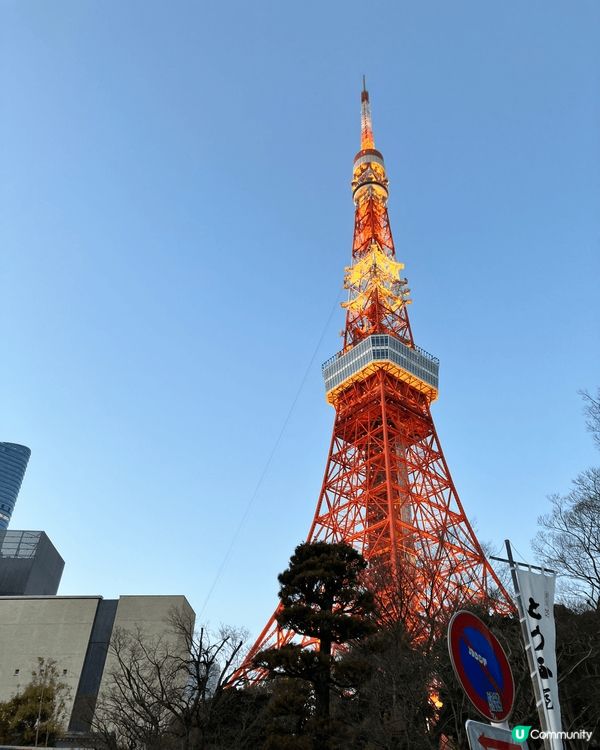 東京鐵塔，豪德寺，吉裡寺貓咪樂園