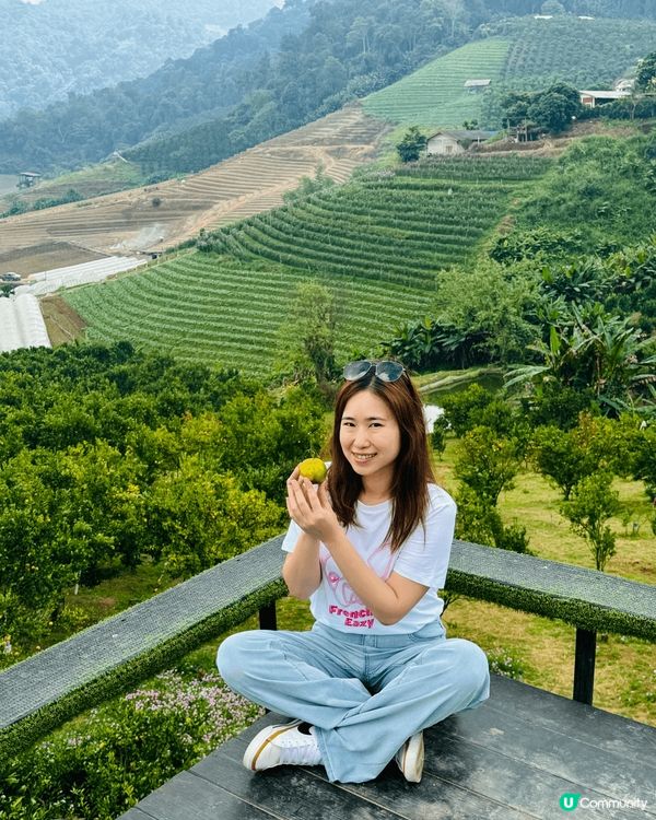 香港馬灣1868, 最新景點，舊有漁村，全新打造。