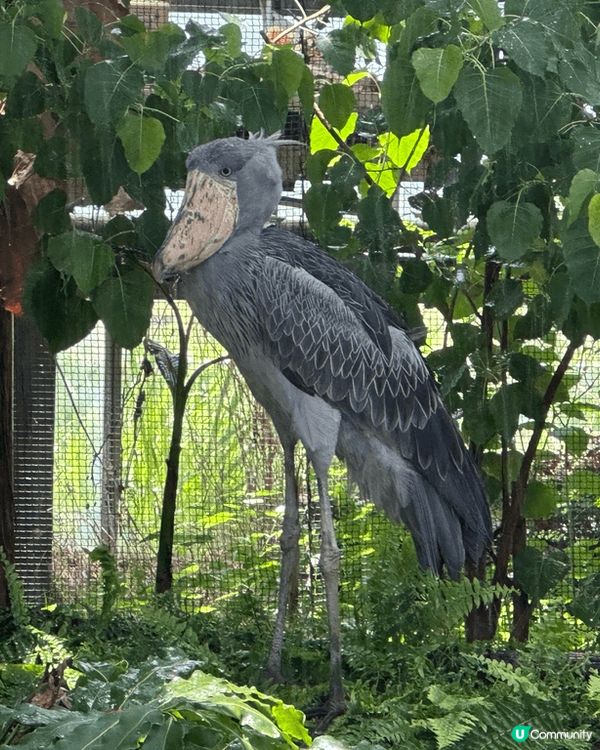 🇯🇵 神京阪 Day 1 2/7/2023