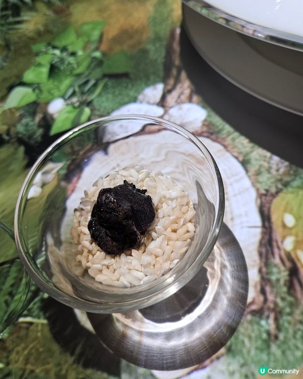 Le Petit Chef in Grand Hyatt