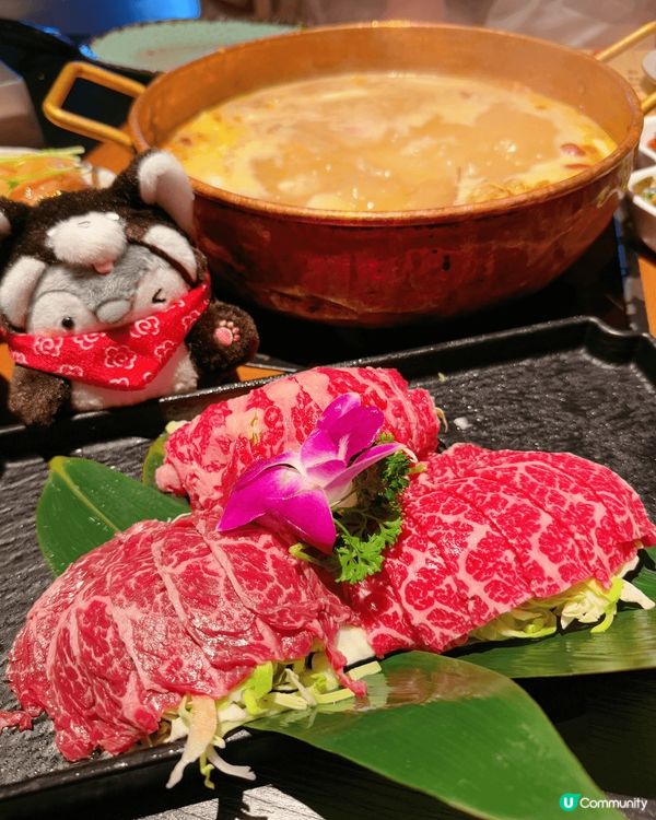 聽🐧🐧 buddy 講，依間位於荃灣嘅中式火鍋店好出色👍 即...