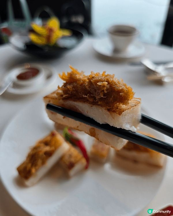 ✨ 米芝蓮二星天龍軒 🍴 舌尖上的奢華體驗！😍✨