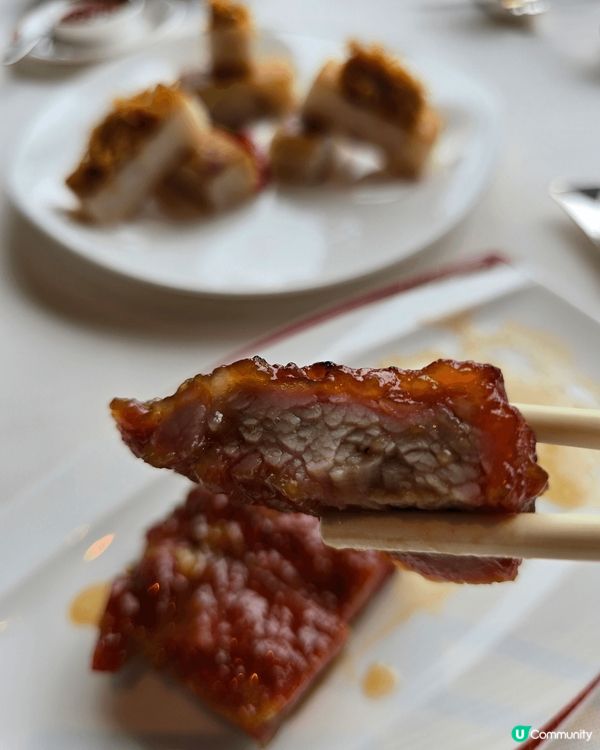 ✨ 米芝蓮二星天龍軒 🍴 舌尖上的奢華體驗！😍✨