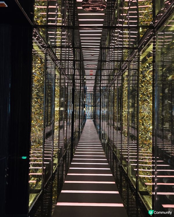 ✨ 米芝蓮二星天龍軒 🍴 舌尖上的奢華體驗！😍✨