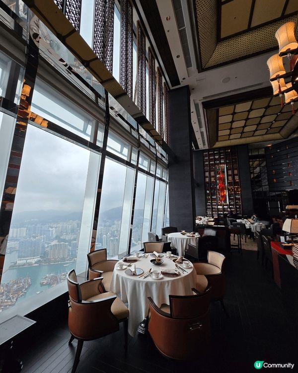 ✨ 米芝蓮二星天龍軒 🍴 舌尖上的奢華體驗！😍✨