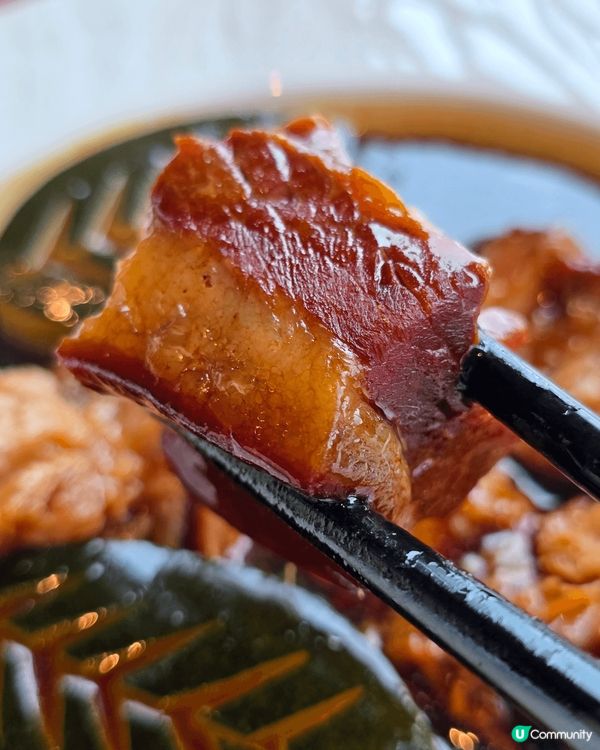 ✨ 米芝蓮二星天龍軒 🍴 舌尖上的奢華體驗！😍✨