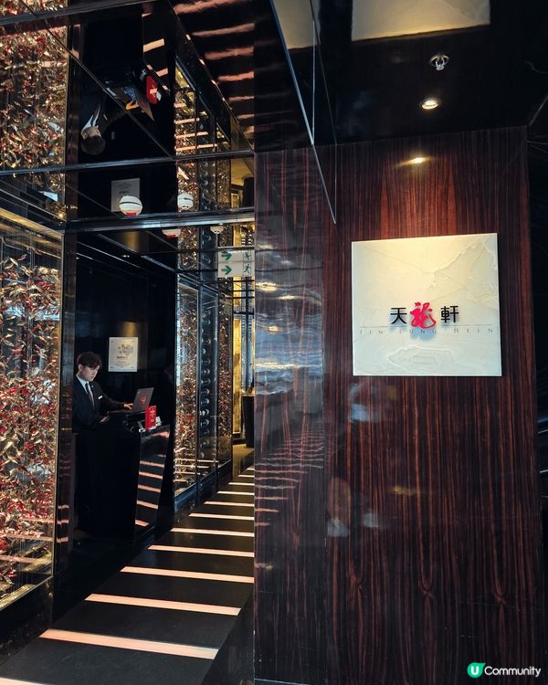 ✨ 米芝蓮二星天龍軒 🍴 舌尖上的奢華體驗！😍✨