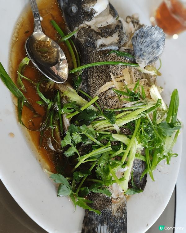 梅窩熟食中心德仔記，人均$200，有白灼蝦、蒸魚、椒鹽鮮魷、...