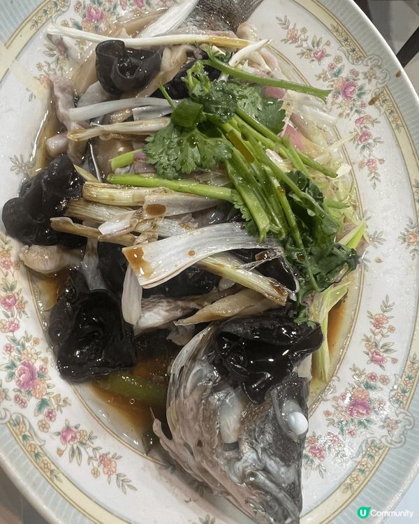 每次經過筲箕灣後巷嘅呢一間餐廳，每一次都見到滿座，究竟係咩原...