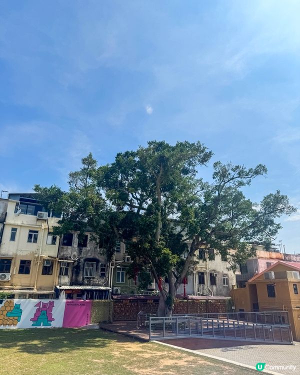 活化後的長洲戰前戲院｜發展成多元文創園區