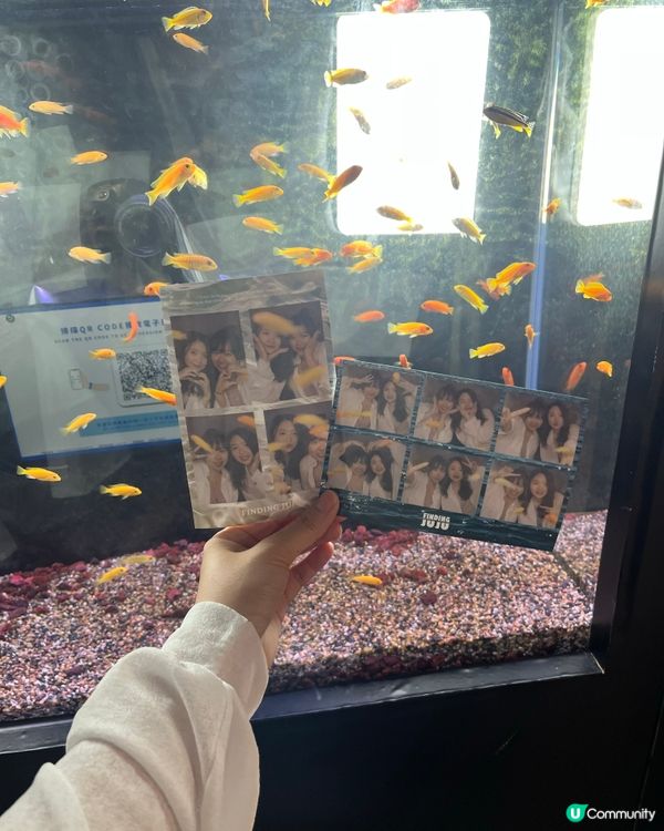 首間韓式魚缸·復古木屋自拍館🐠🪵📷