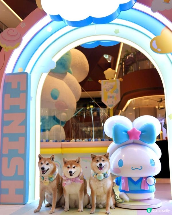 與玉桂狗之約🤍