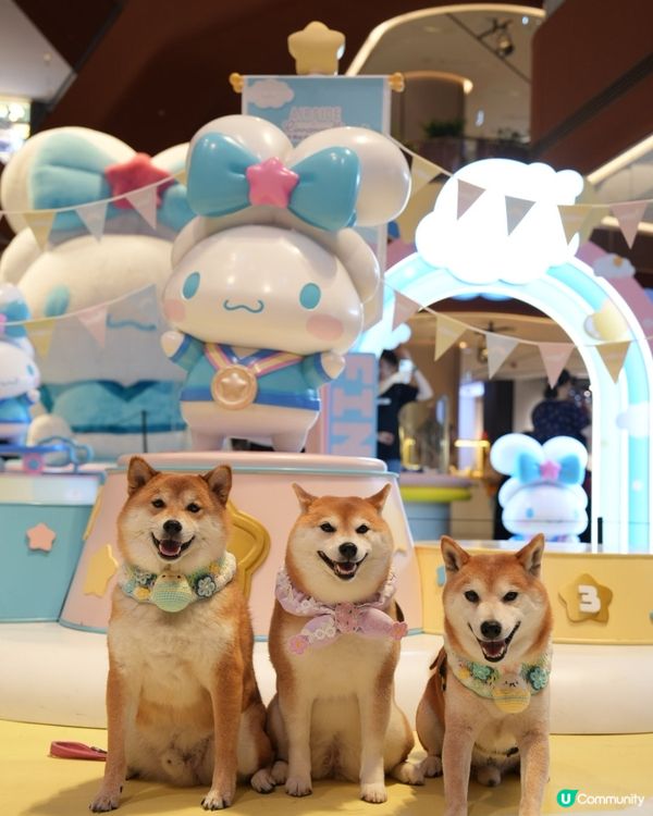 與玉桂狗之約🤍