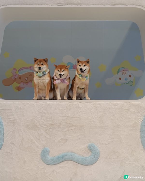 與玉桂狗之約🤍