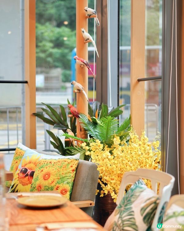 筲箕灣難得室內毛孩友善餐廳 pizza 大推！