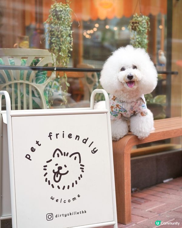 筲箕灣難得室內毛孩友善餐廳 pizza 大推！