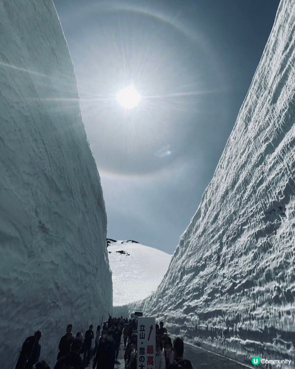 找緊雪花的尾巴❄️立山黑部春日遊