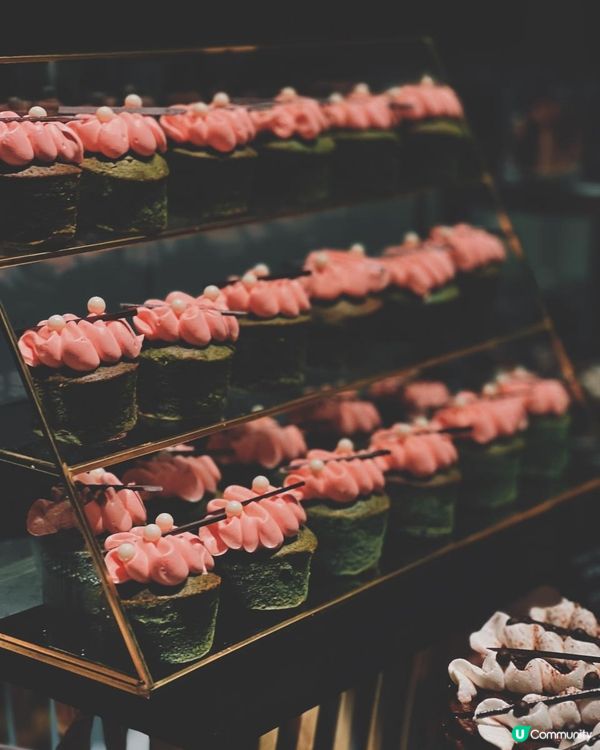 中環嘆海鮮🦞  快閃買一送一！