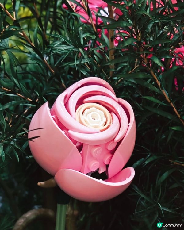 走進百花盛放的LEGO®植物園💐沒有看錯噢!是LEGO !無...