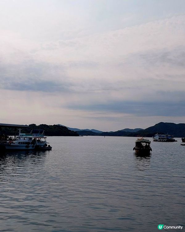 鹽田梓驚現神秘訪客🦉！ 可遇不可求😍😍