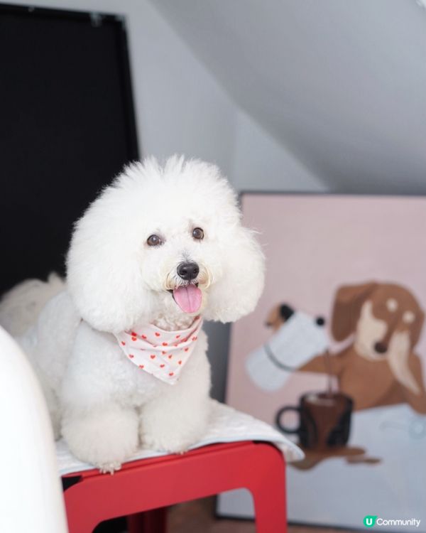 上環新街新cafe 大推邪惡曲奇