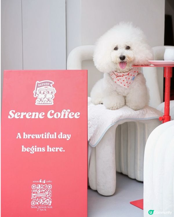 上環新街新cafe 大推邪惡曲奇